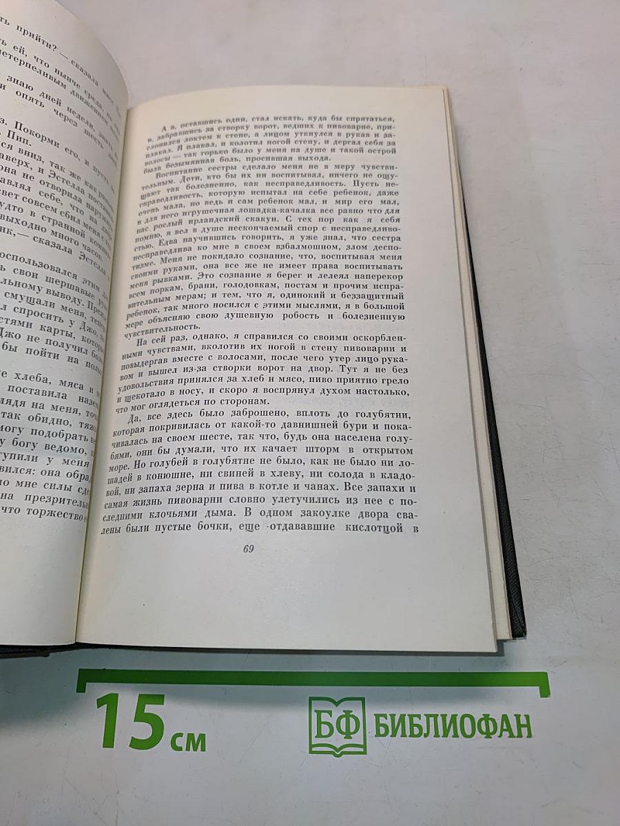 Собрание сочинений. Том двадцать третий. Большие надежды