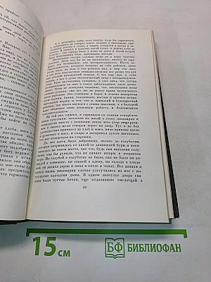 Собрание сочинений. Том двадцать третий. Большие надежды