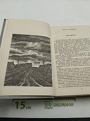 Собрание сочинений в шести томах. Том второй: Братья и сестры. Книги третья и четвертая (Пути-перепутья)