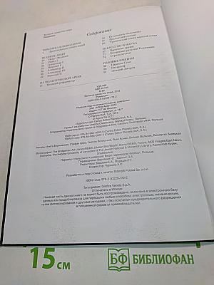 Романовы. Великие династии мира
