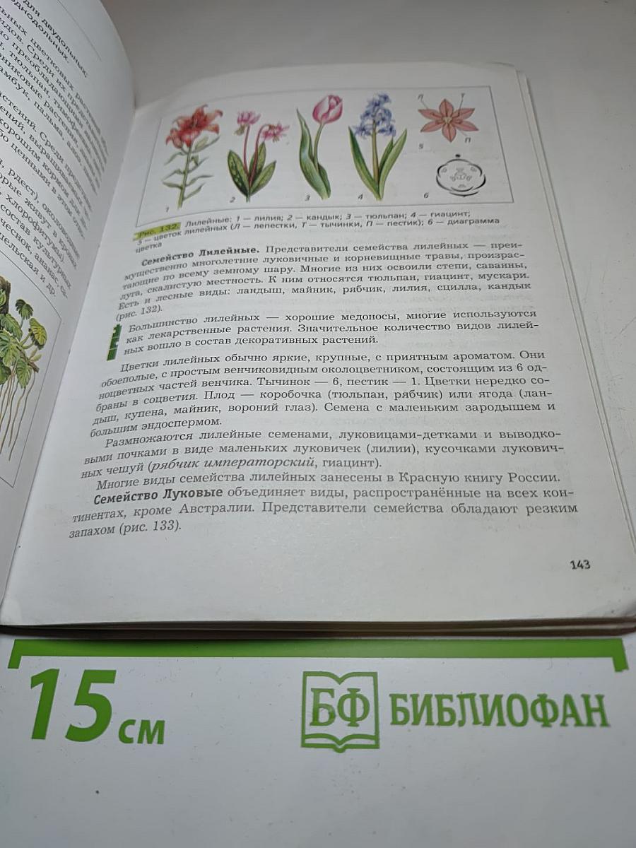 Биология 6 класс