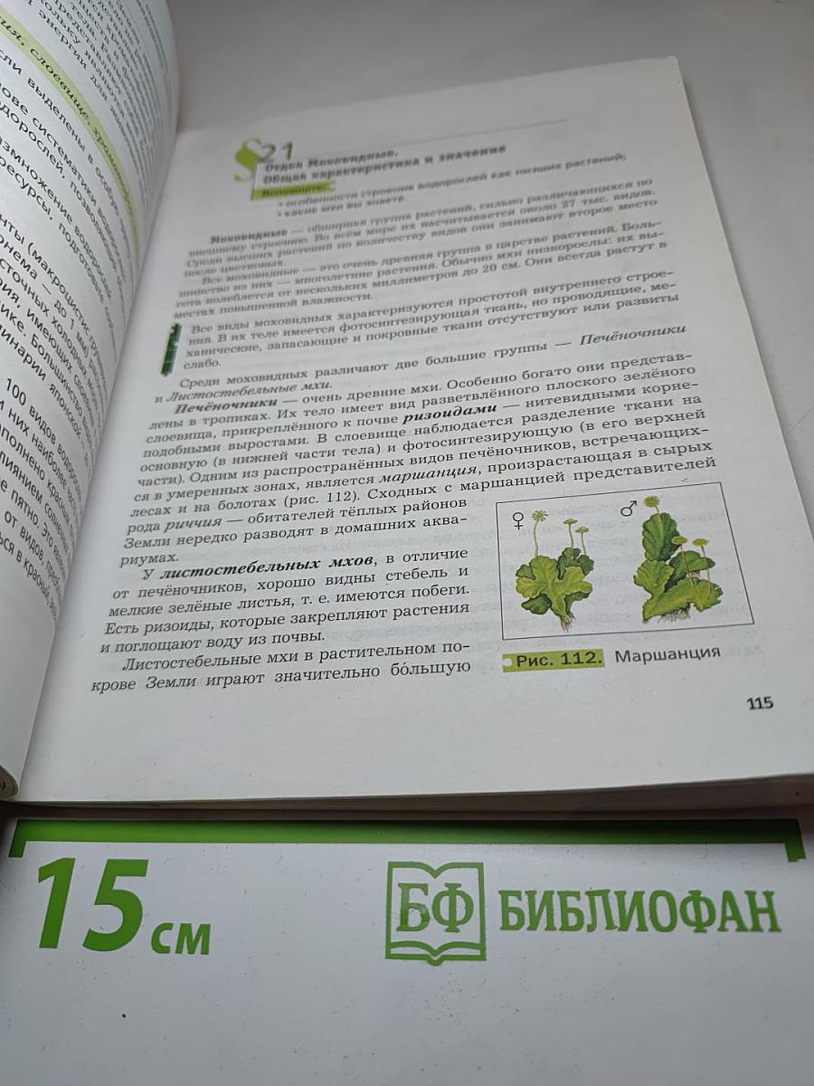 Биология 6 класс