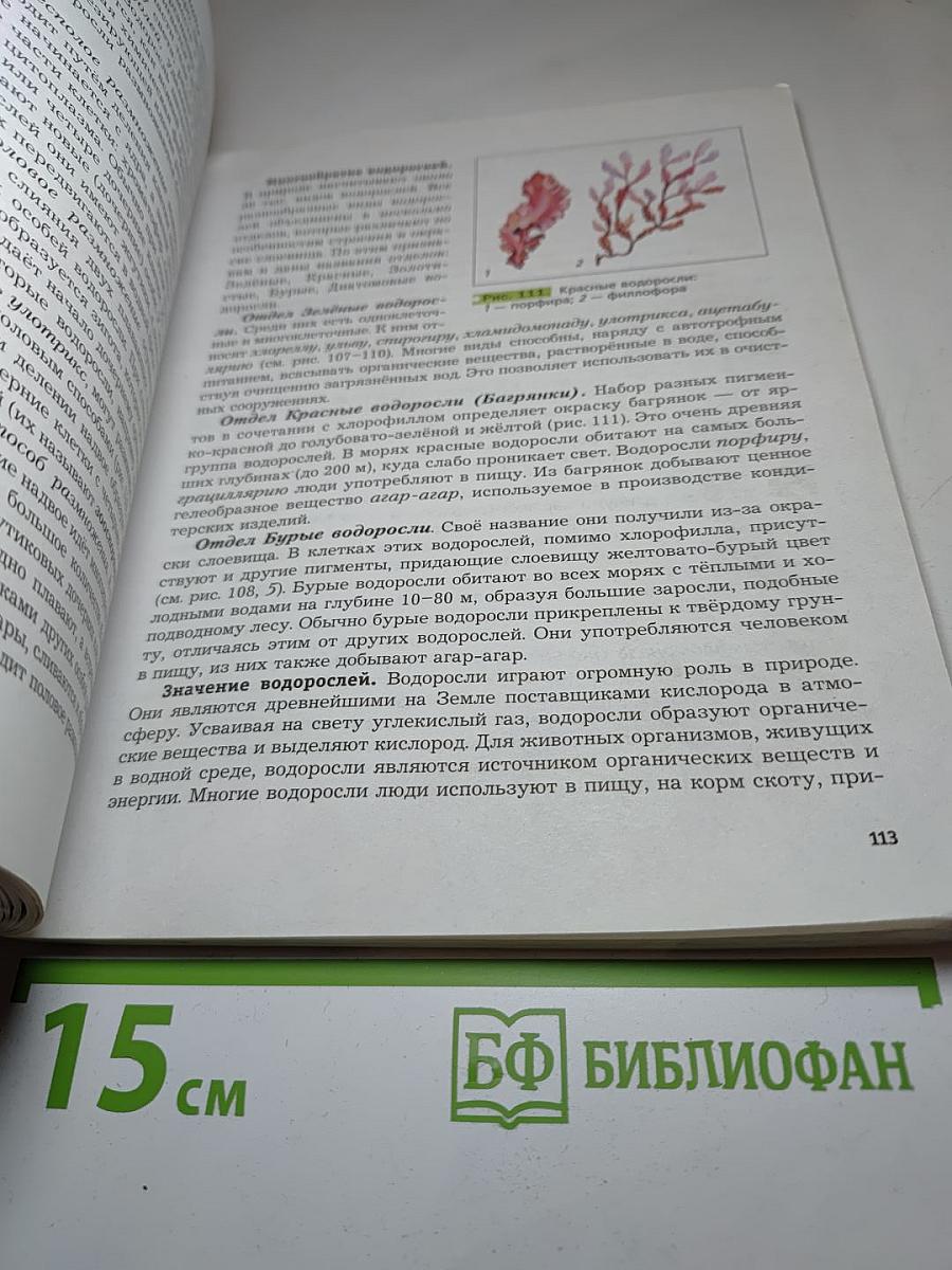 Биология 6 класс