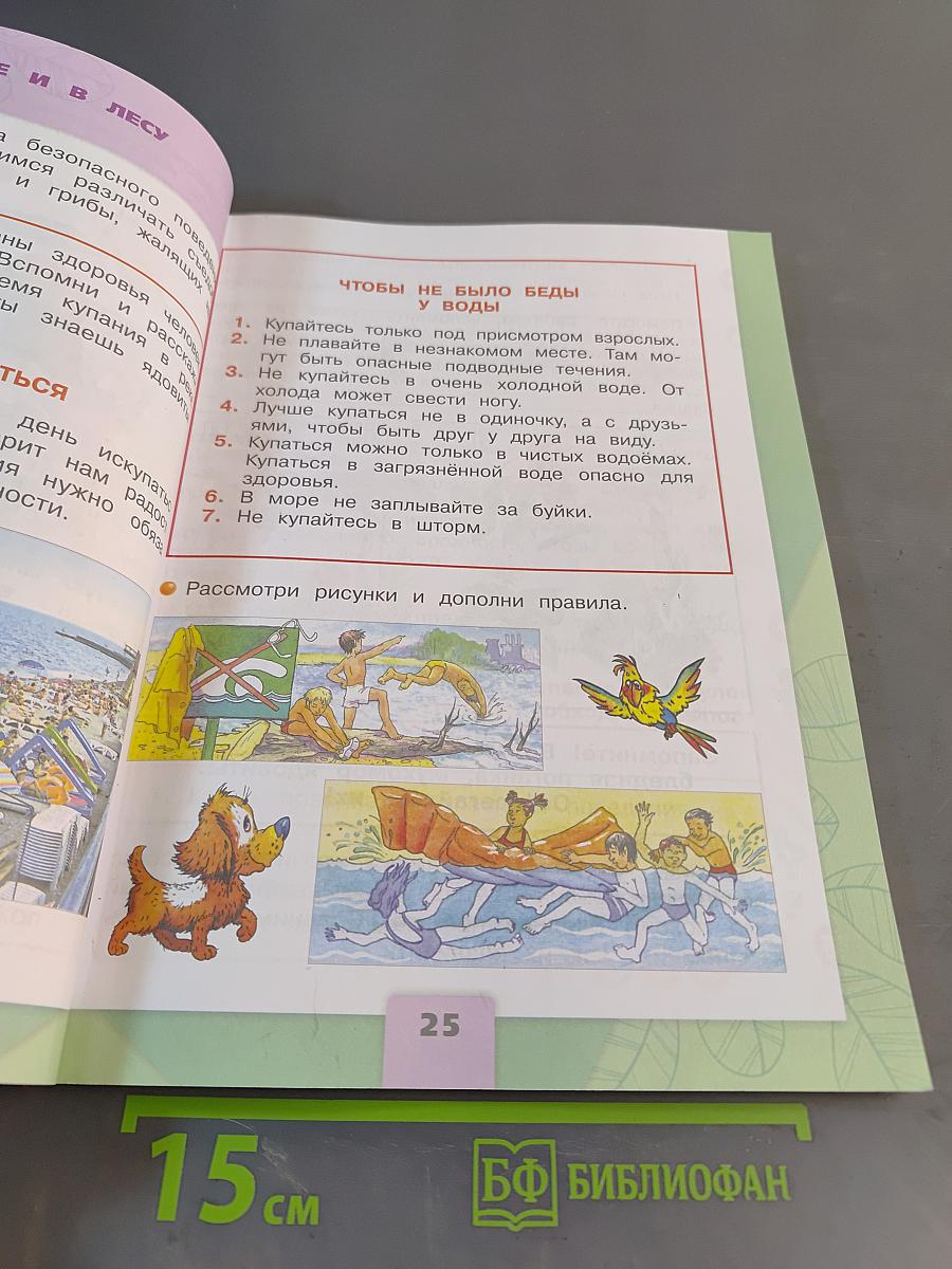 Окружающий мир. 2 класс. Учебник в двух частях. Часть 2