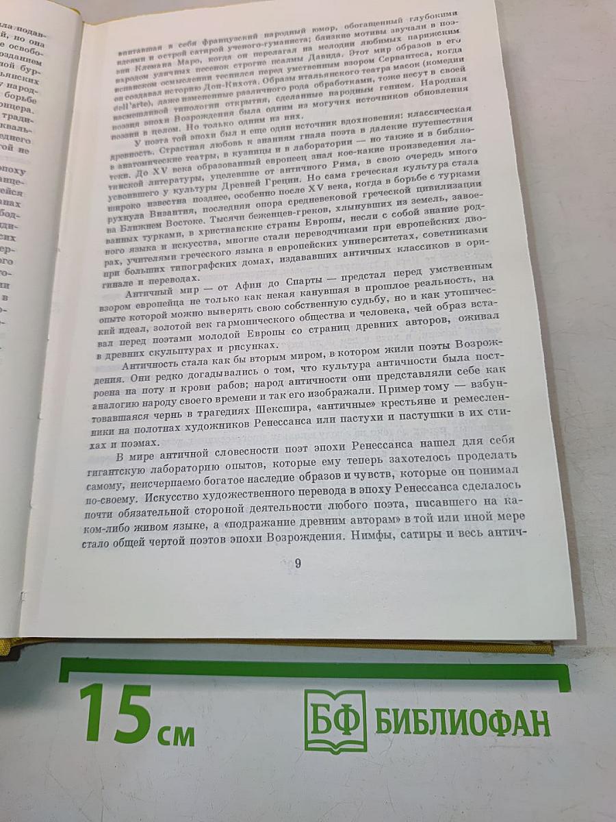 Европейские поэты Возрождения