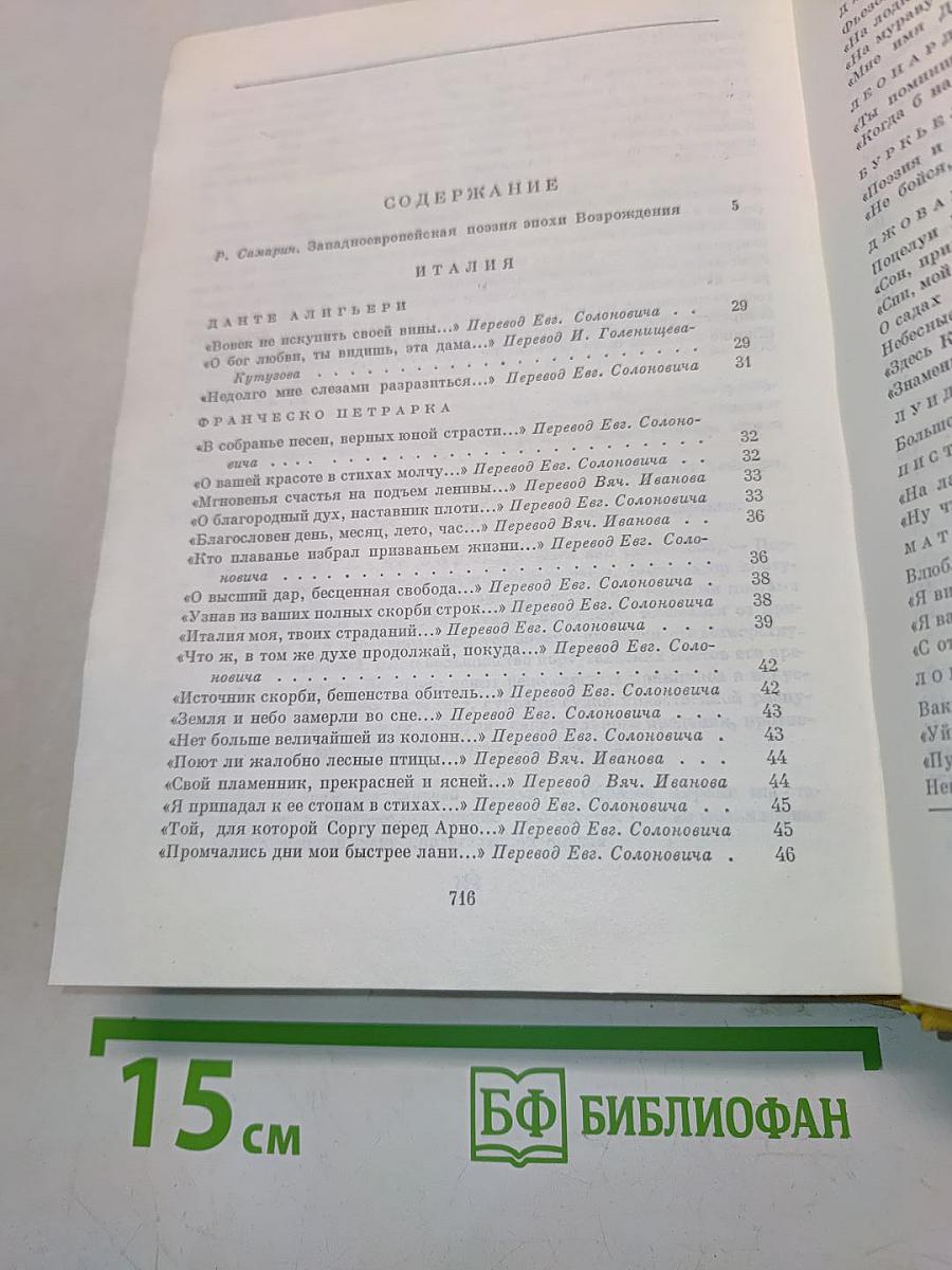 Европейские поэты Возрождения
