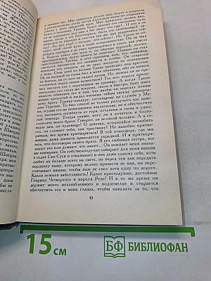 Графиня Рудольштадт