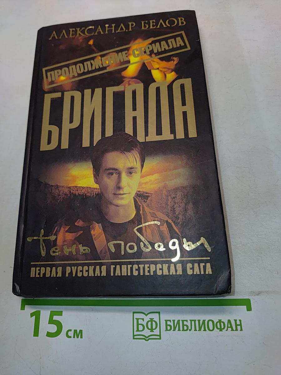 Бригада. Тень победы. Книга 15