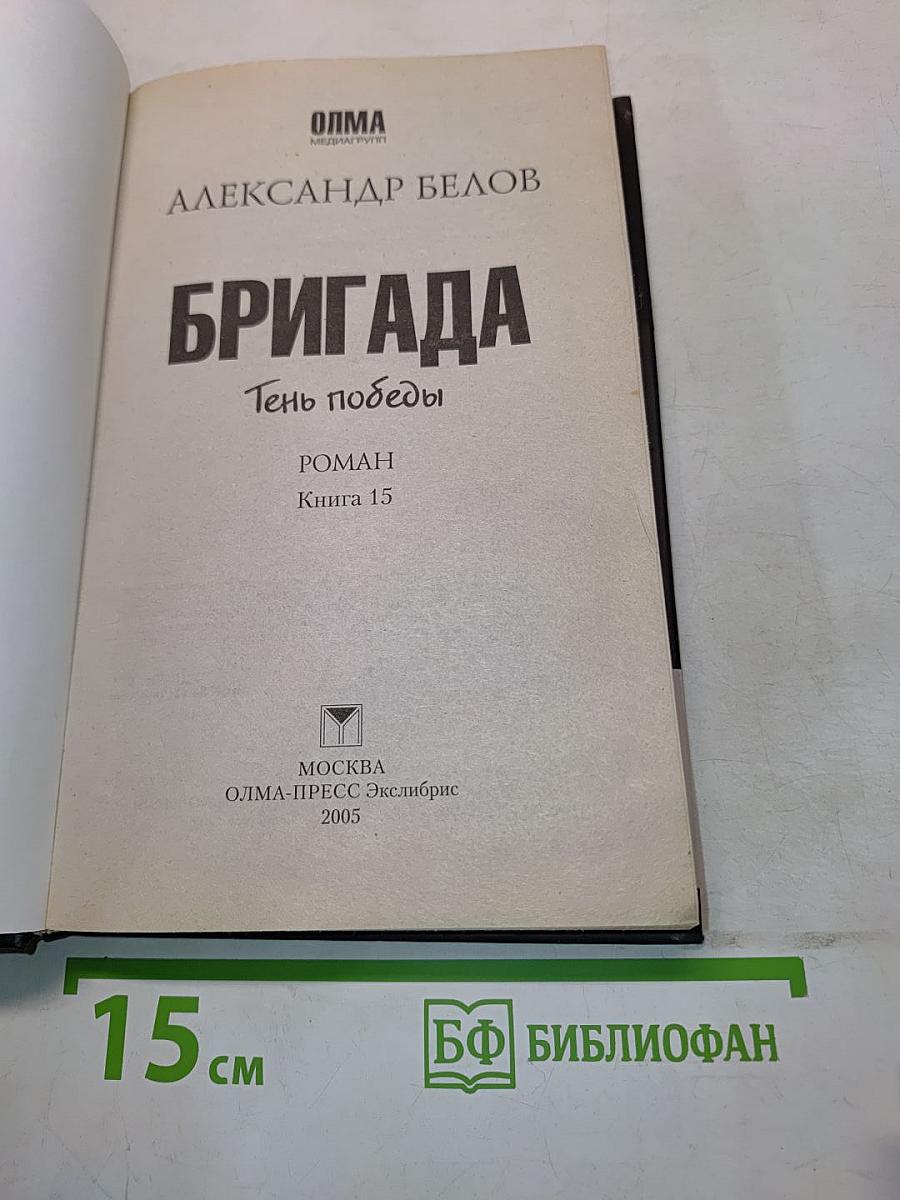 Бригада. Тень победы. Книга 15