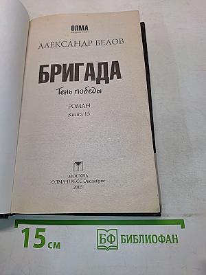 Бригада. Тень победы. Книга 15