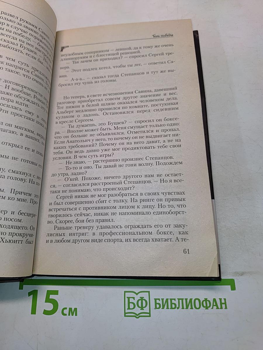 Бригада. Тень победы. Книга 15