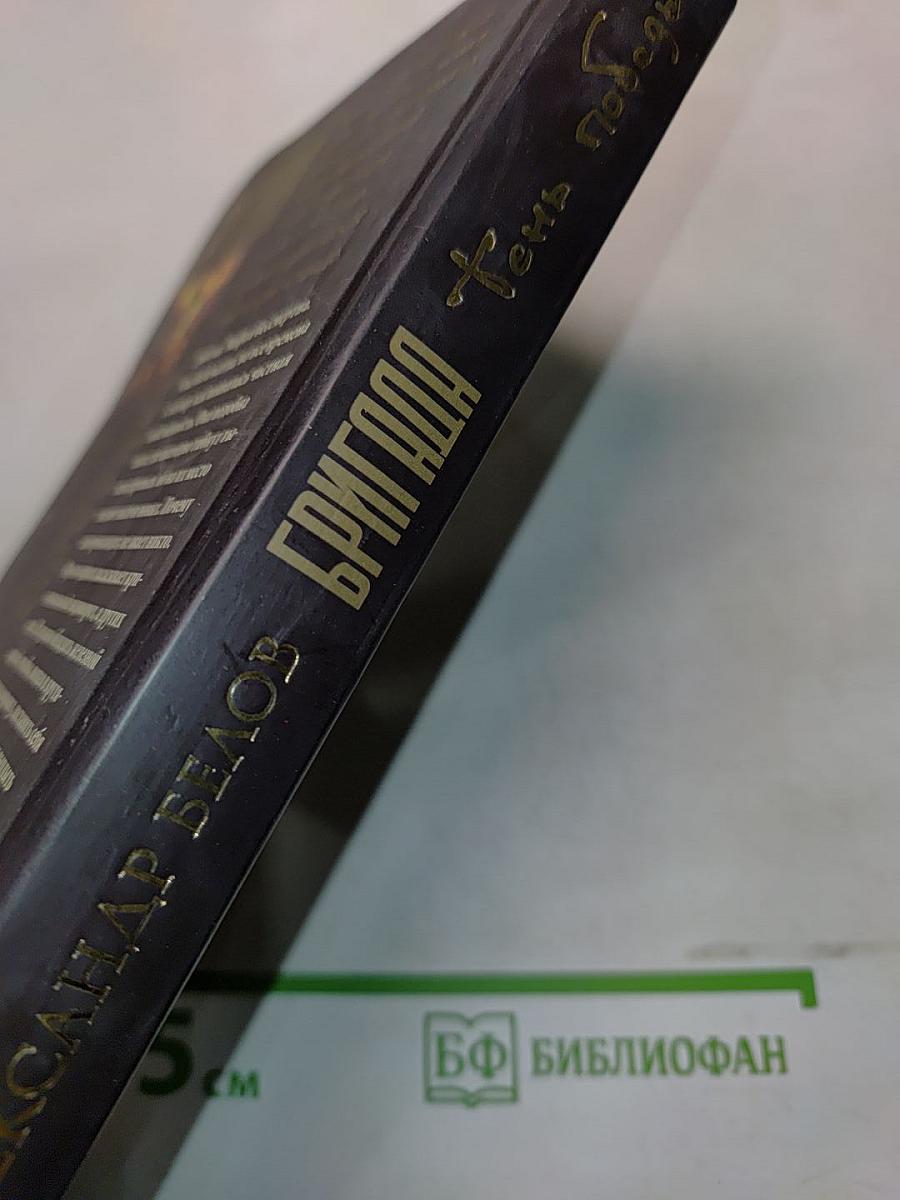 Бригада. Тень победы. Книга 15