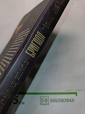 Бригада. Тень победы. Книга 15