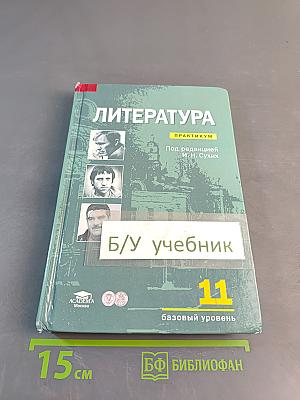 Литература. Практикум. 11 класс (базовый уровень)