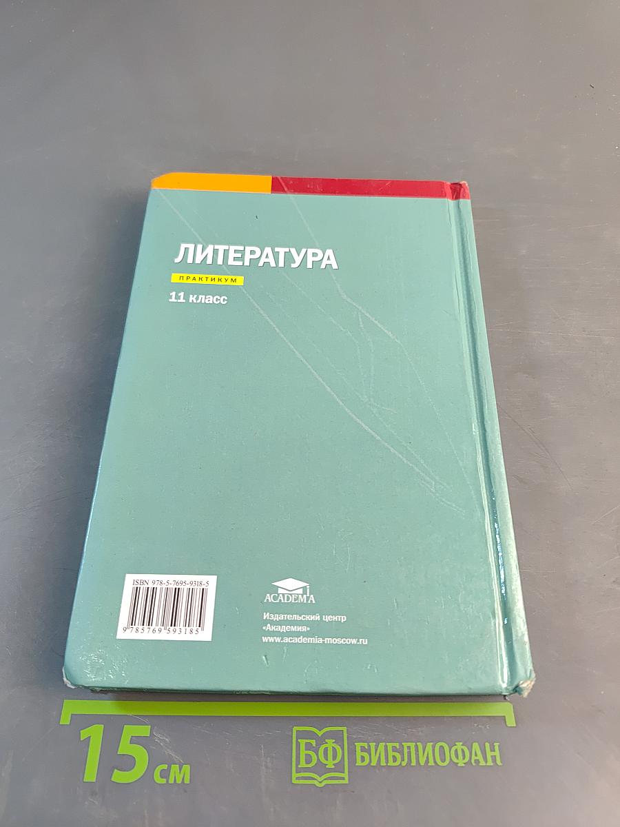 Литература. Практикум. 11 класс (базовый уровень)