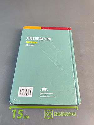 Литература. Практикум. 11 класс (базовый уровень)