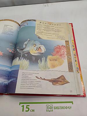 Большая книга «Почему?»