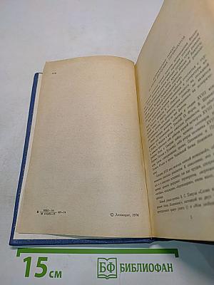 Слово и дело. Часть 1. Царица престрашного зраку