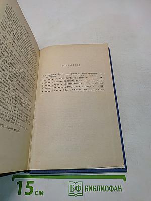 Слово и дело. Часть 1. Царица престрашного зраку