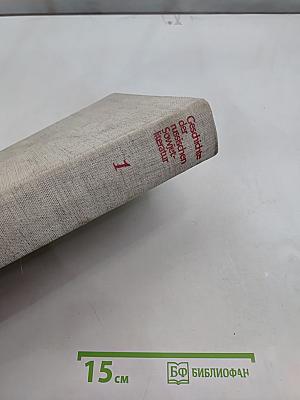 Geschichte der russischen Sowjetliteratur. Band 1