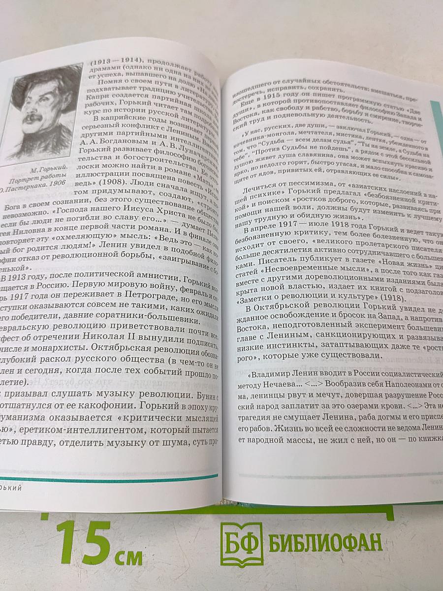 Литература. 11 класс. Часть 1