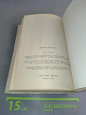 Мозаика Агни Йоги. Книга 2