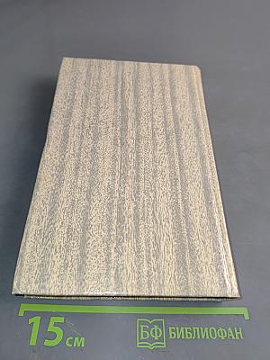 Мозаика Агни Йоги. Книга 2