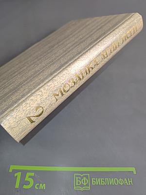 Мозаика Агни Йоги. Книга 2
