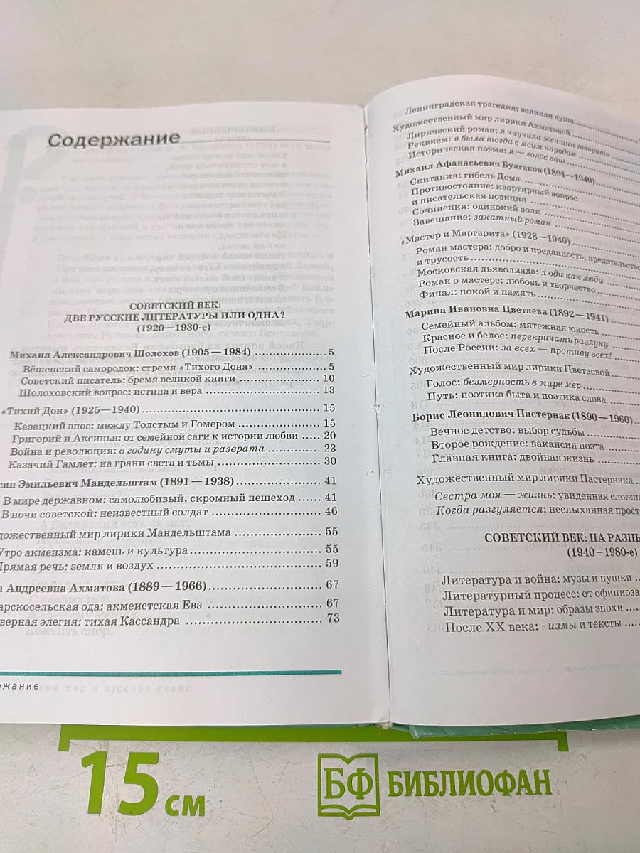 Литература. Учебник для 11 класса (базовый уровень). В двух частях. Часть 2
