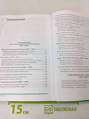 Литература. Учебник для 11 класса (базовый уровень). В двух частях. Часть 2