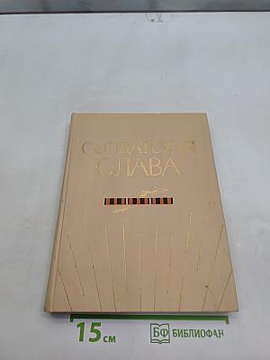 Солдатская слава. Книга четвертая