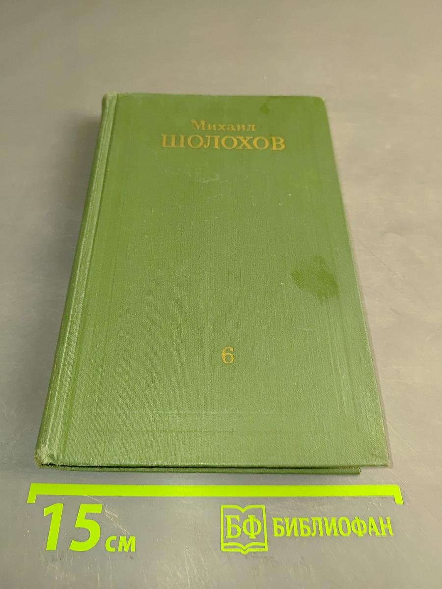 Поднятая целина. Роман в двух книгах. Книга 6