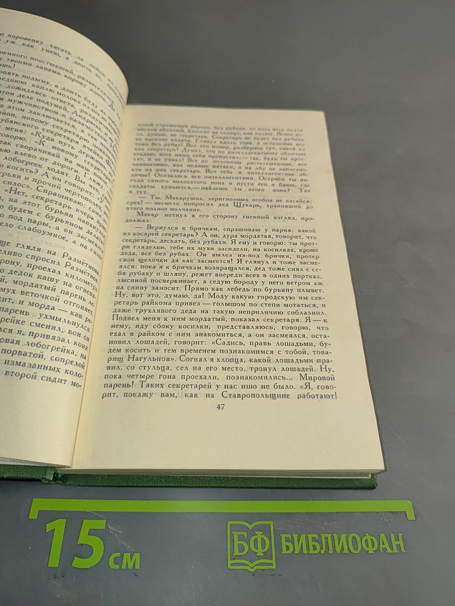 Поднятая целина. Роман в двух книгах. Книга 6