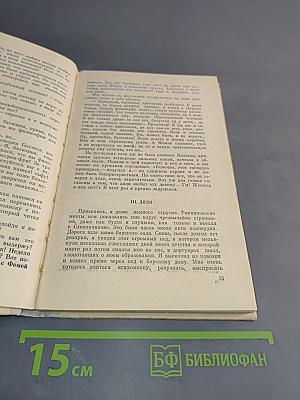 Село Степанчиково и его обитатели