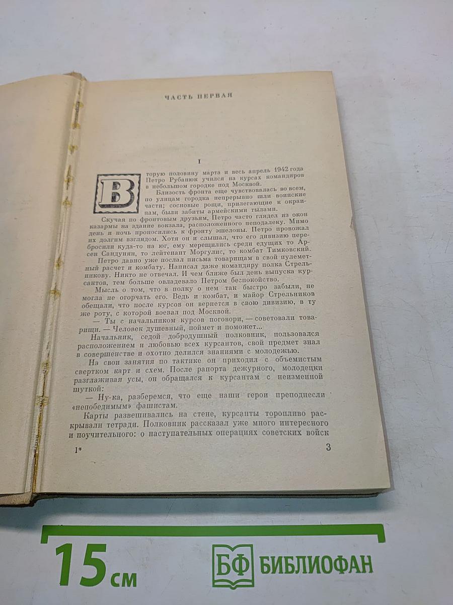 Семья Рубанюк. Книга 2