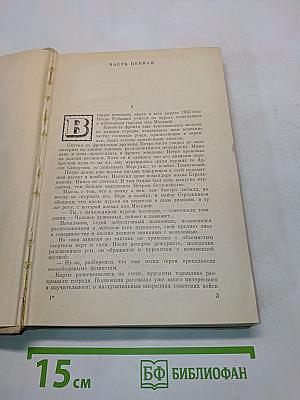 Семья Рубанюк. Книга 2