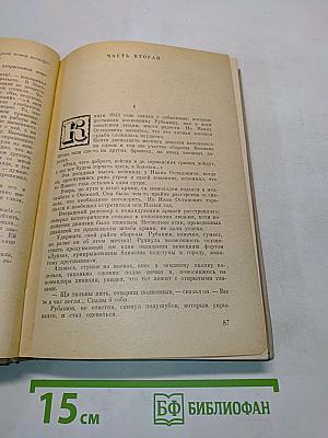 Семья Рубанюк. Книга 2