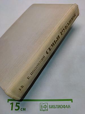 Семья Рубанюк. Книга 2