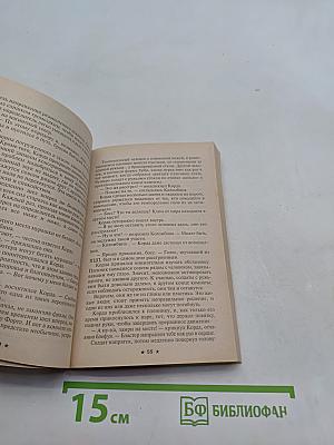 Хрономастер