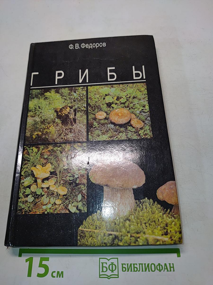Грибы