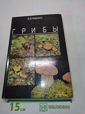Грибы