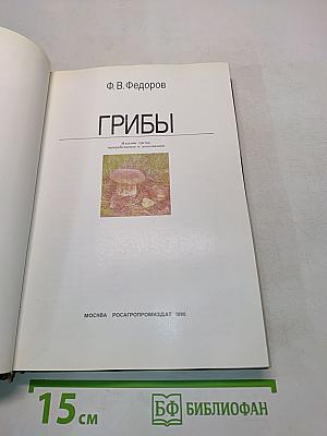 Грибы