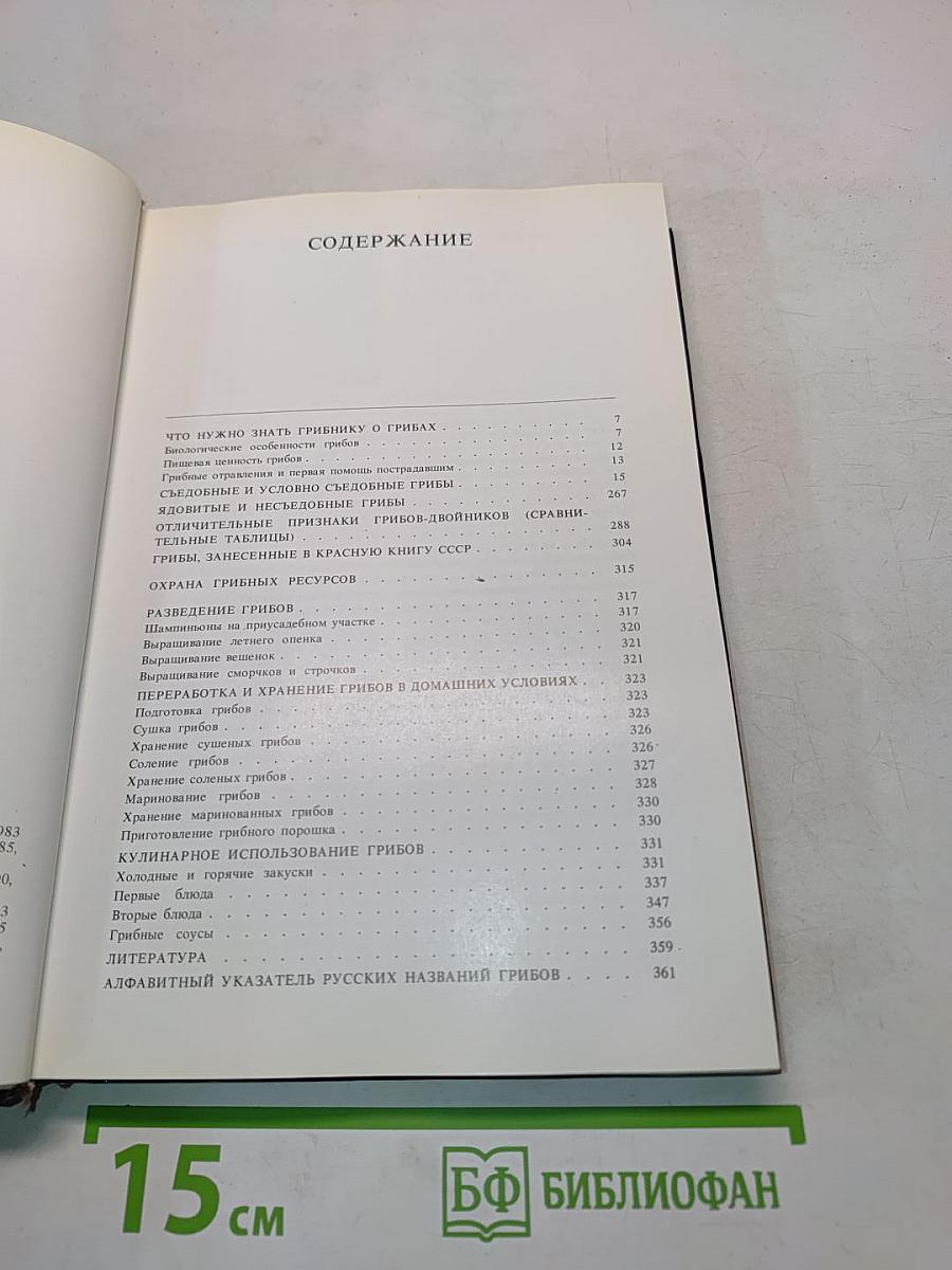 Грибы