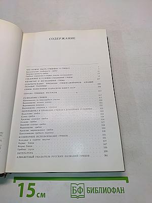 Грибы