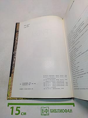 Грибы