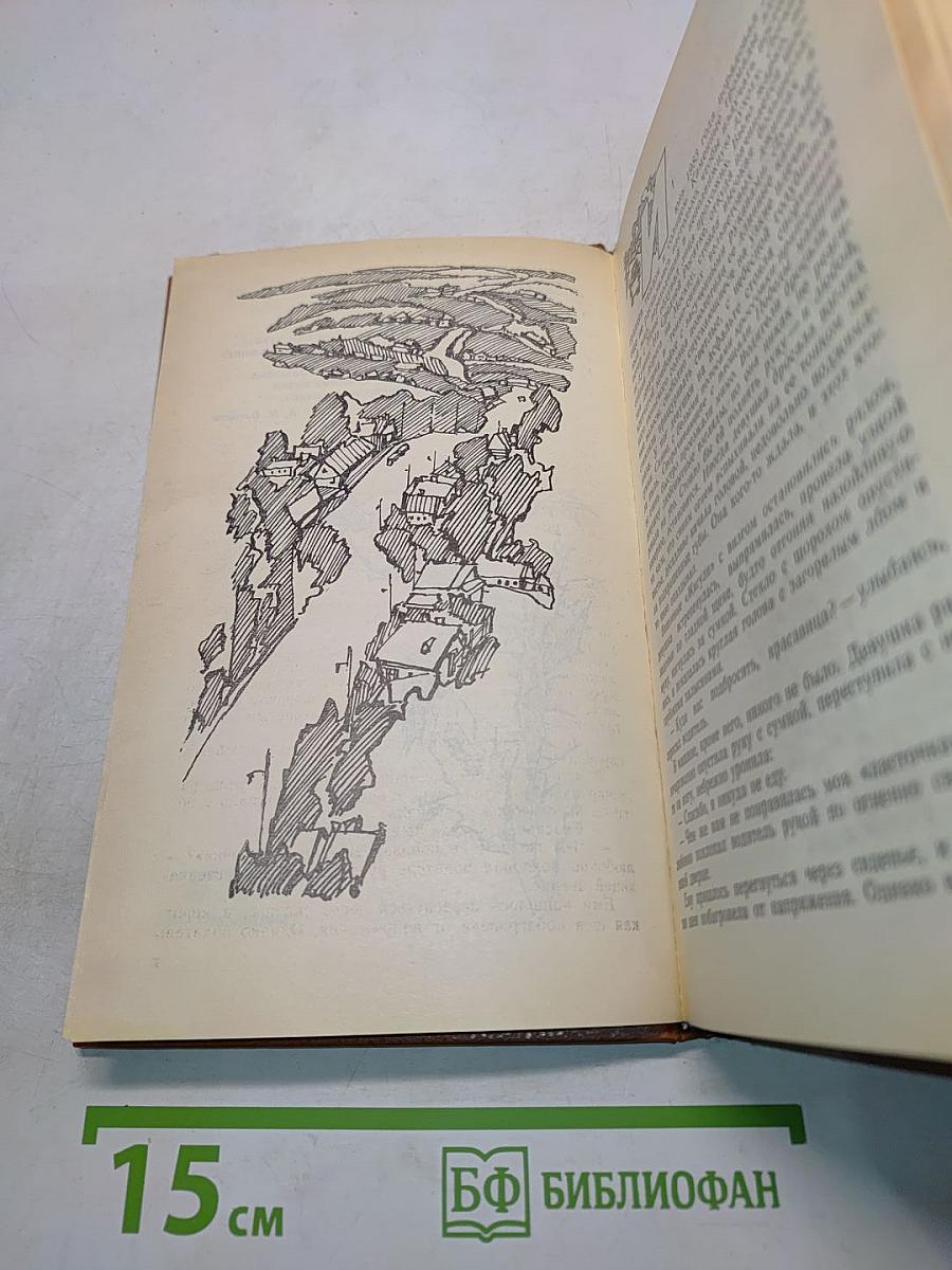 Время любить. Книга третья