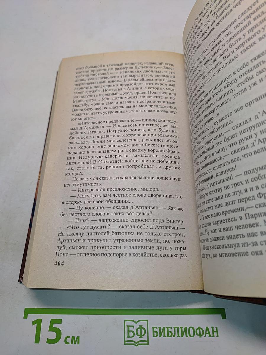 Д'Артаньян, гвардеец кардинала. Провинциал, о котором заговорил Париж. Роман-эхо. Книга 1