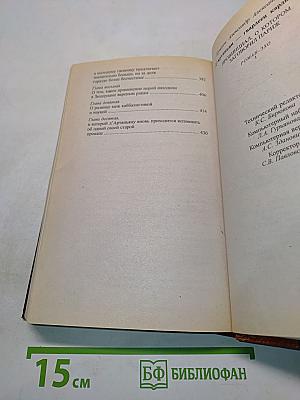 Д'Артаньян, гвардеец кардинала. Провинциал, о котором заговорил Париж. Роман-эхо. Книга 1
