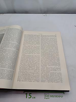 Большая Советская Энциклопедия. Том 11. Германик — Голубь