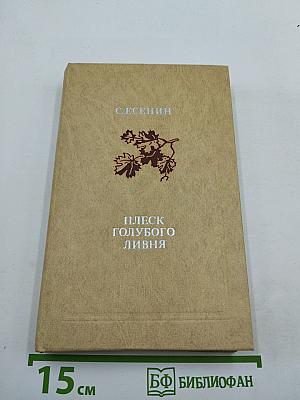 Плеск голубого ливня